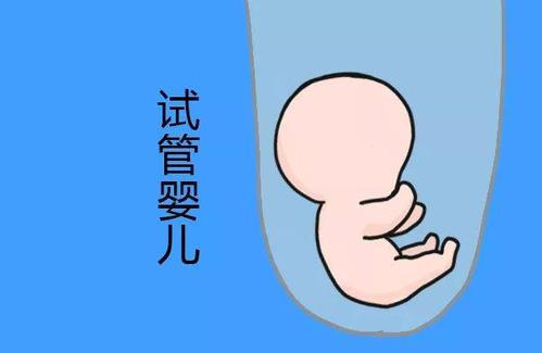 私人同性供卵代孕报价多少